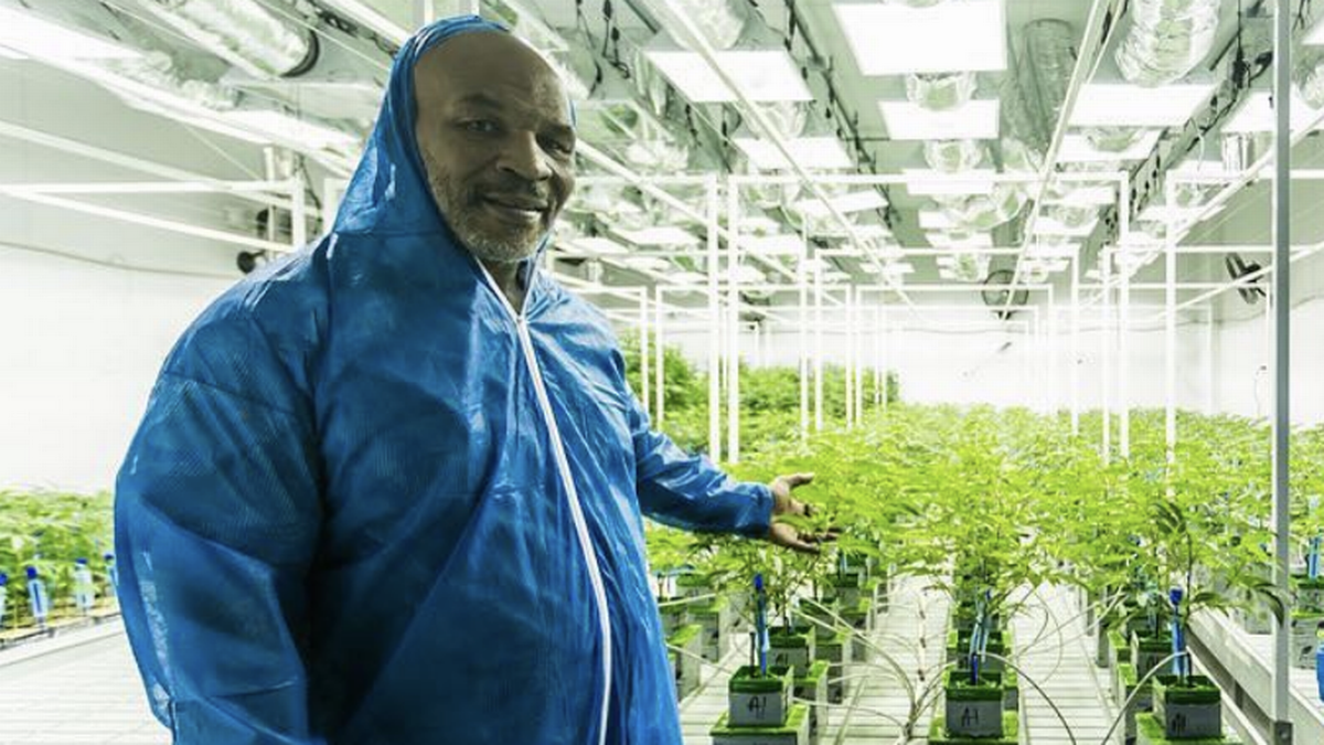 Why Malawi Asked Mike Tyson to be its Cannabis Ambassador