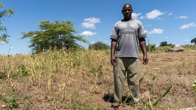Severe Drought Affects Nearly Half of Zambia's Population, Calls for $940 Million in Aid