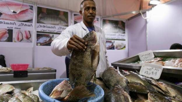 Egypt's Fishmongers Cut Prices Amid Nationwide Boycott Over High Costs