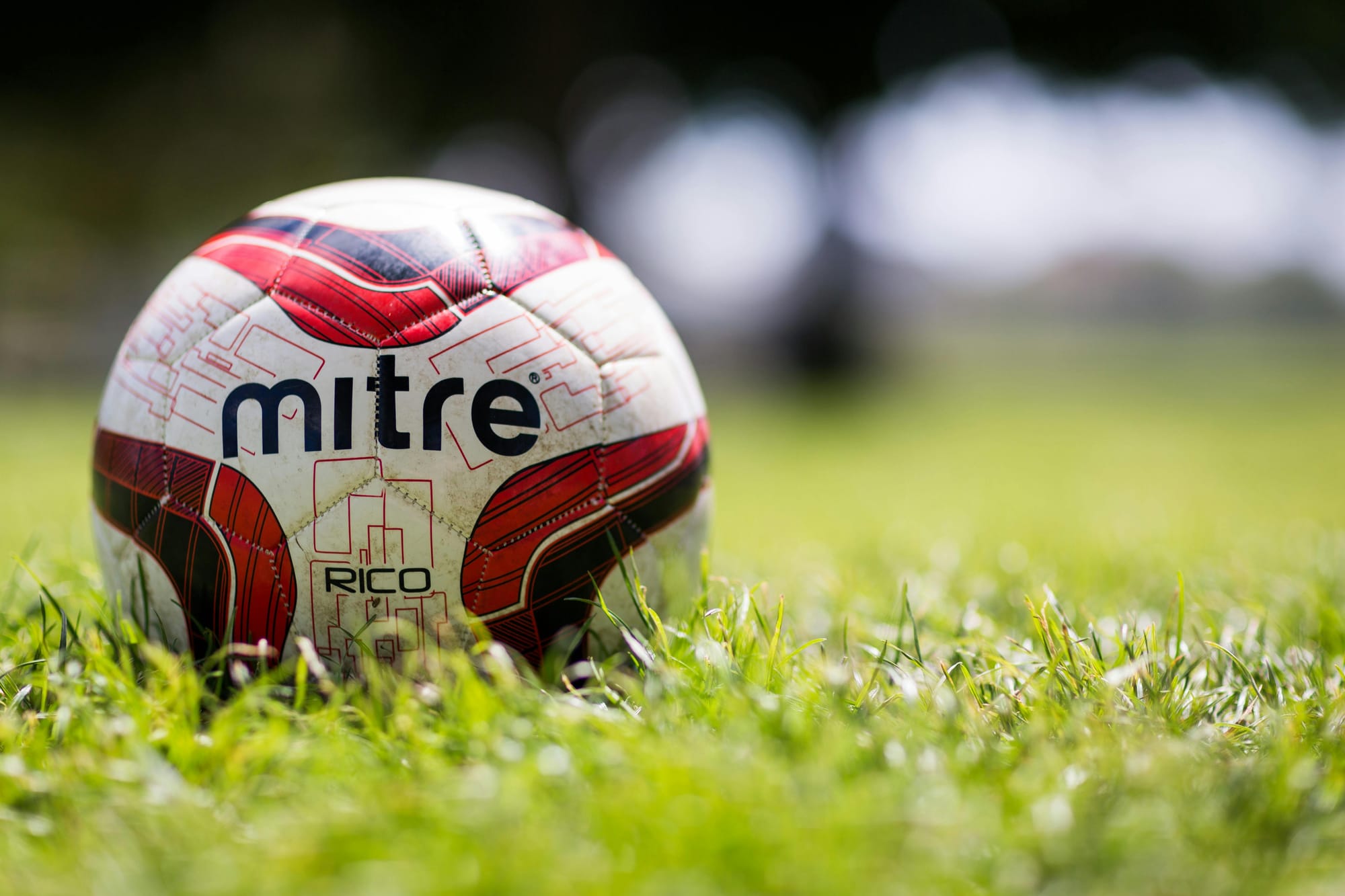 Macro Photo of Mitre Ball. Source: Pixels