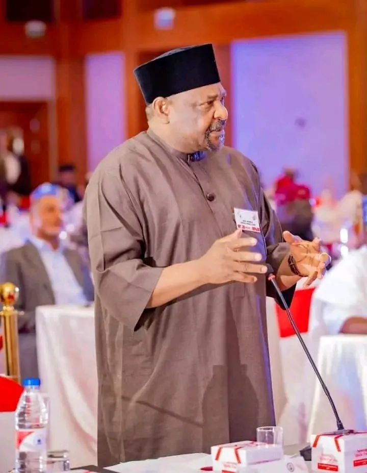 Nigerian Senator Suspended for Exposing Budget Anomalies