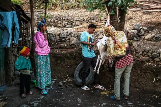 Orthodox Easter Celebrations Illuminate Ethiopia with Faith and Tradition