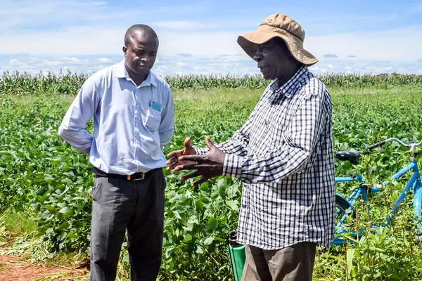 Top 10 Challenges Facing Africa's Agriculture Sector in 2025