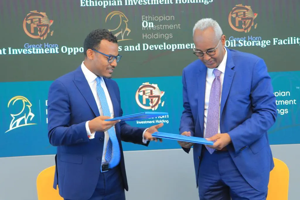 Top 10 Sovereign Wealth Funds in Africa 2025