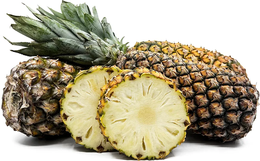 Top 10 Pineapple Producers in Africa 2025