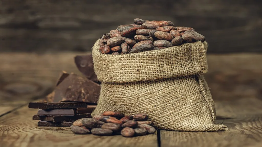 Top 10 Cocoa Producers in Africa 2025