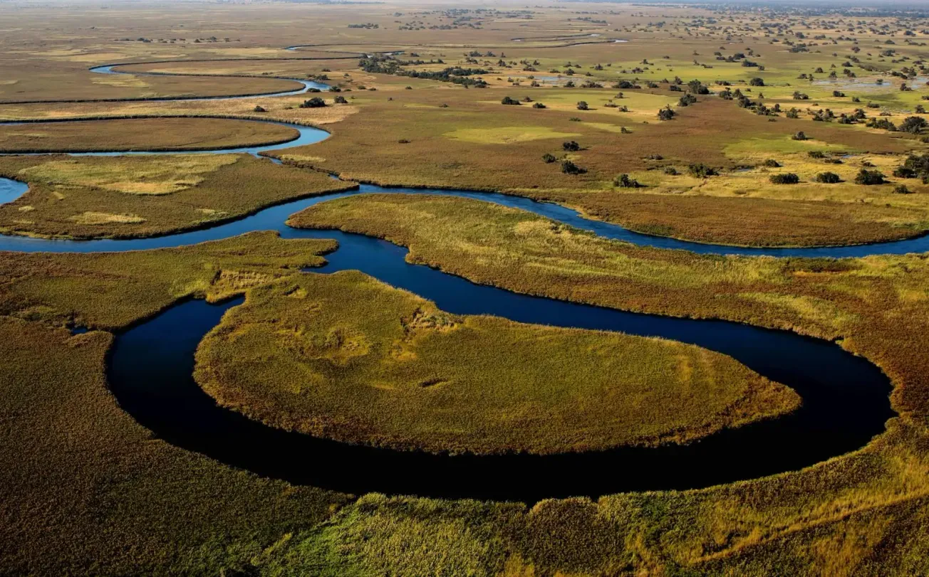 Top 10 Fun Facts About Africa’s Wildest National Parks