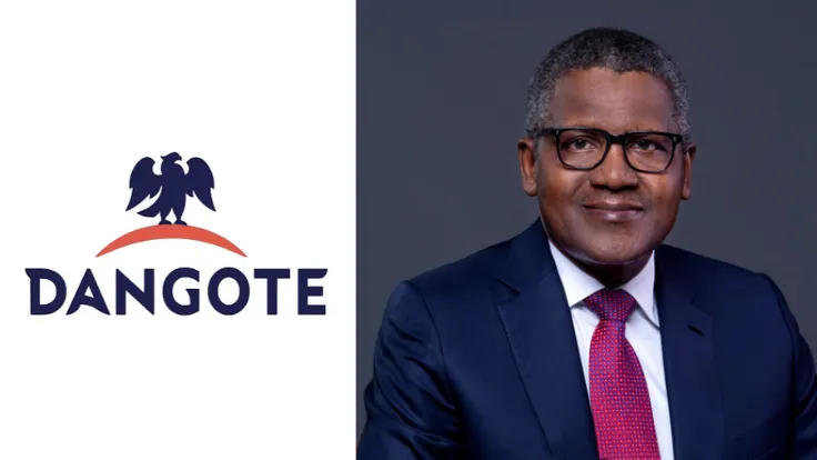 Aliko Dangote Built Dangote Group