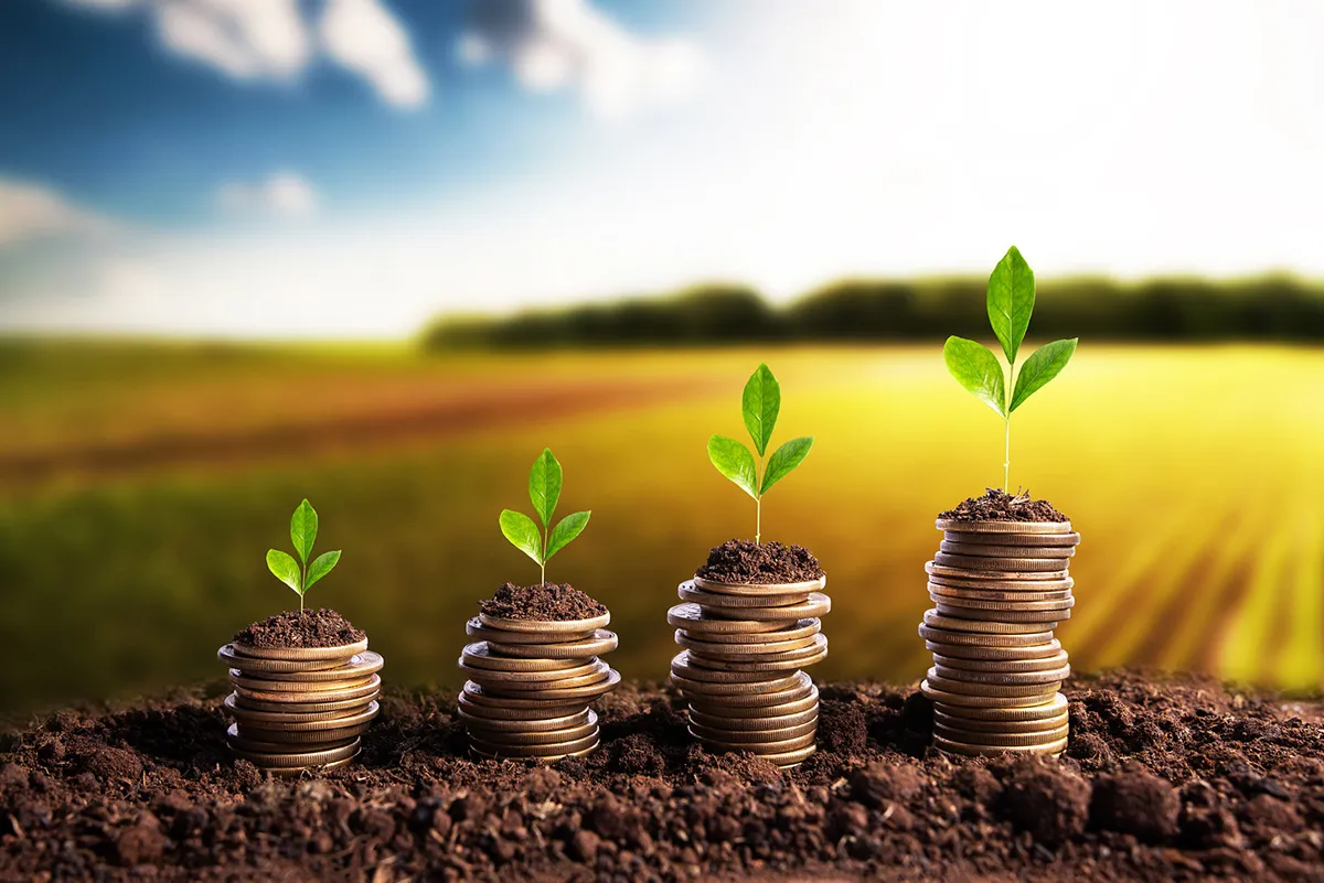 Digital Africa launches €50M seed fund targeting early-stage startups across 20 African markets