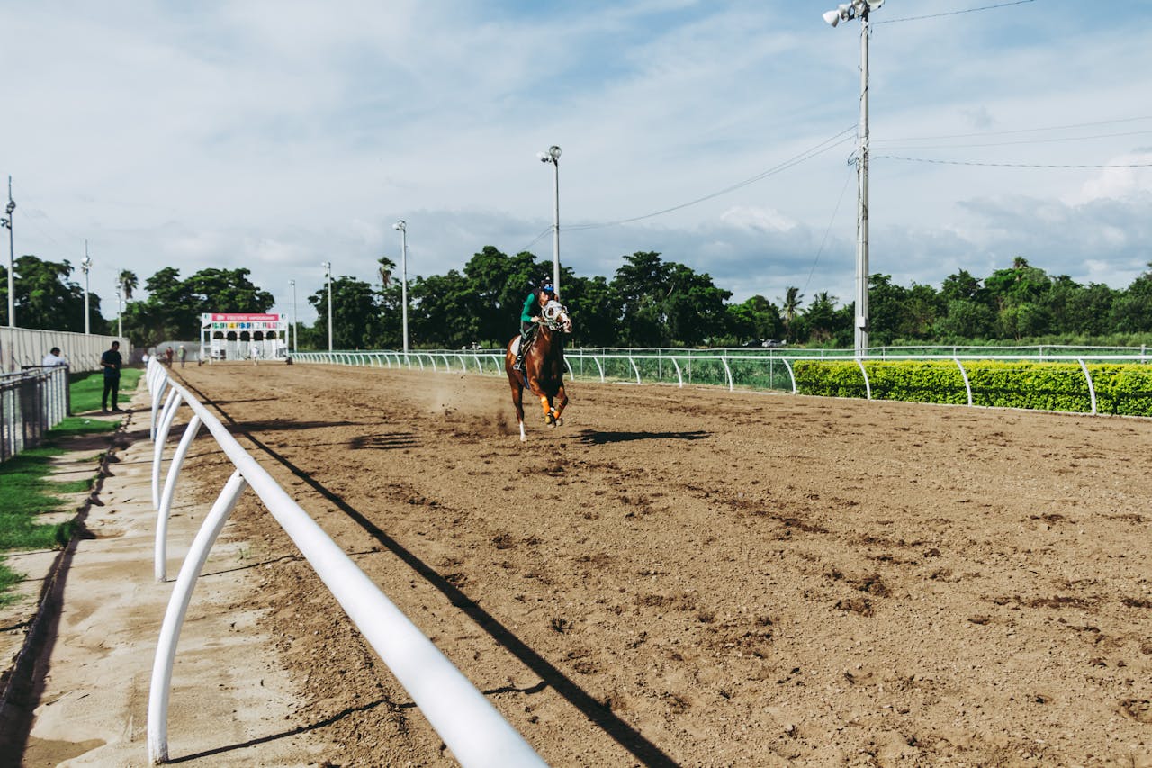 How Horse Racing Industry Impacts Global Economy