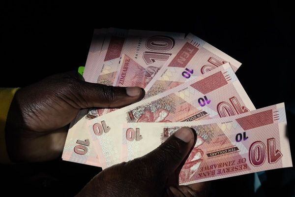 Zimbabwe Extends Multi-Currency System to 2030
