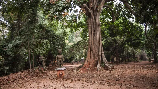 Benin: Voodoo Worshippers Decry Effects of Deforestation