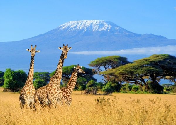 Main Tourist Attractions in Africa