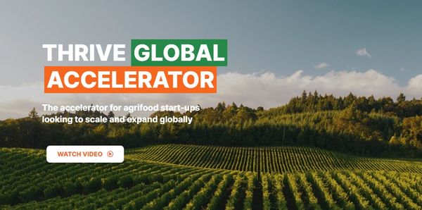 African Agri-Food Startups Invited to Apply for THRIVE Global Accelerator