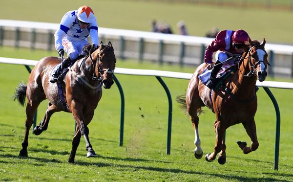 What is Inplay Horse Betting, and What are the Benefits? Unraveling the Thrill of Real-Time Wagers