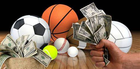 Which are the Best Sports to Bet On?