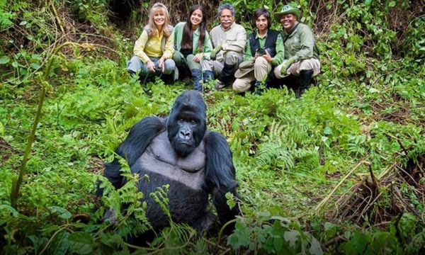 Into the Wild of Rwanda: Going on a Gorilla Trekking Adventure