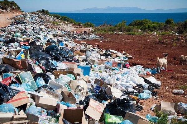 Why Africa Needs to Be Extra Vigilant About Toxic Chemicals