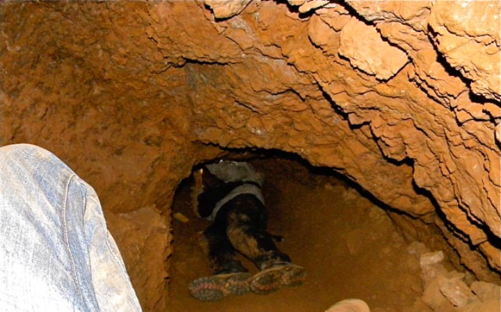 Tragedy Strikes in Mali: Unregulated Gold Mine Collapse Claims Over 70 Lives, Rescue Efforts Race Against Time