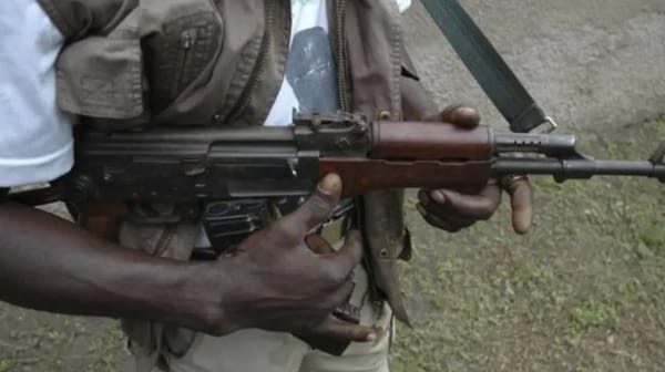 Over 280 Nigerian Students Released Unharmed in Kuriga