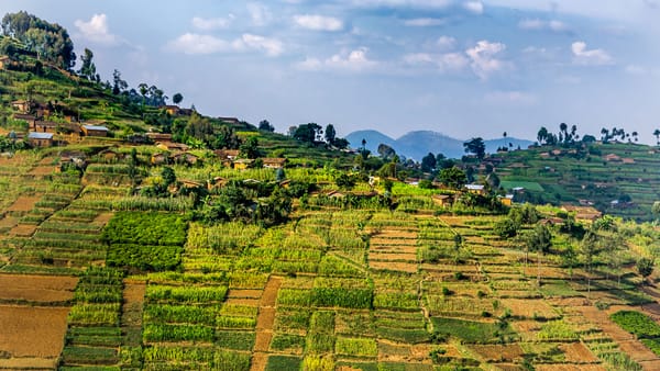 Top 10 African Countries with the Most Mature Land Ownership Systems in 2025