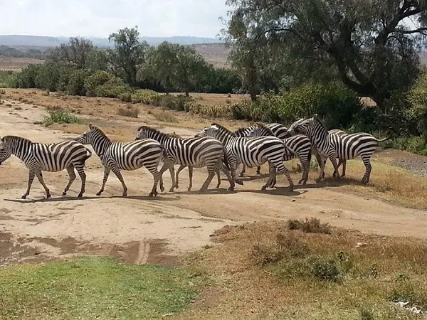 Tembea Kenya: Promoting Tourism Among Locals