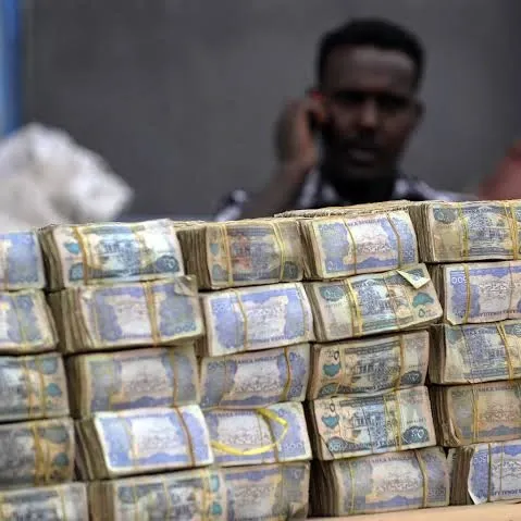 Somalia Tops Global Corruption Index Again: A Call for Global Action on Transparency