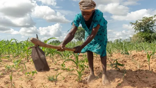 Zimbabwe Declares State of Disaster Over Severe Drought