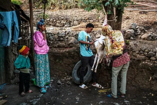 Orthodox Easter Celebrations Illuminate Ethiopia with Faith and Tradition