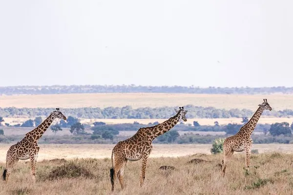 Top 10 Must-Visit African Destinations in 2025