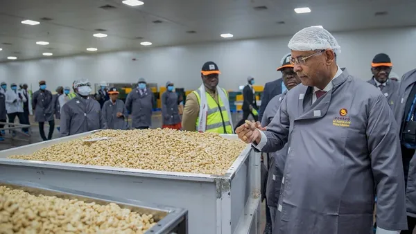 Top 10 Cashew Producers in Africa in 2025