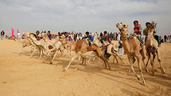 In Somalia, Camel racing draws thousands of spectators who travel long distances to witness the events. [Photo: File]