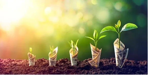 African Countries Leading in Sustainable Development