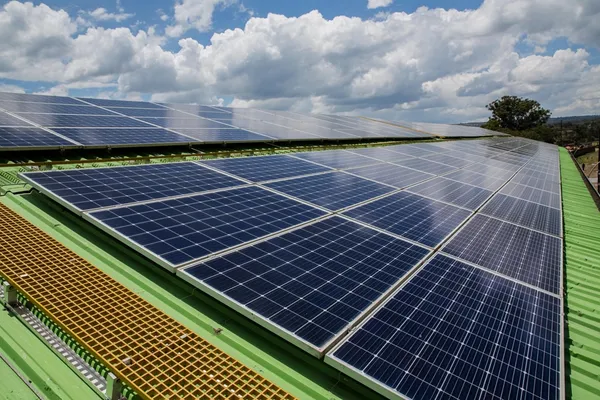 South Africa topped the 2025 ranking with the largest cumulative solar capacity. [Photo Credit: File]