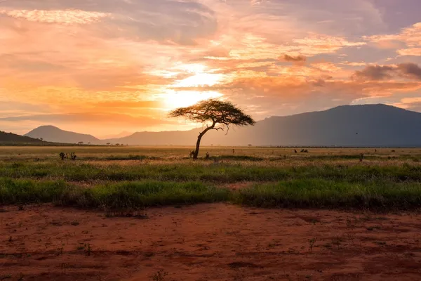 Infrastructure development in Africa - why nickel alloys matter for durability and resilience?