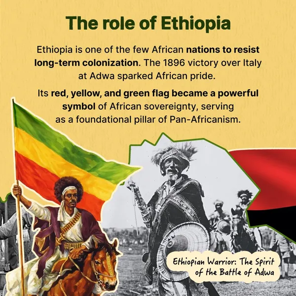 African History Books for Students, Scholars, and Readers